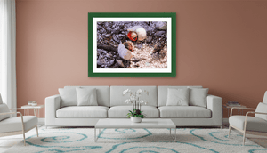 Trésors en Paire - Fuji Crystal - ESPOIR PHOTOS