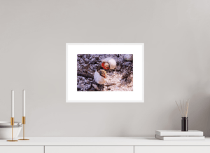 Trésors en Paire - Fuji Crystal avec cadre - ESPOIR PHOTOS