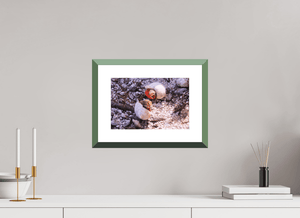 Trésors en Paire - Fuji Crystal avec cadre - ESPOIR PHOTOS