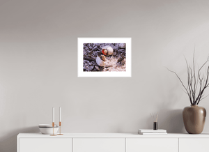 Trésors en Paire - Fuji Crystal avec cadre - ESPOIR PHOTOS