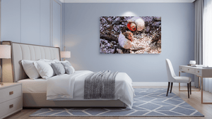 Trésors en Paire - Plexiglas - ESPOIR PHOTOS