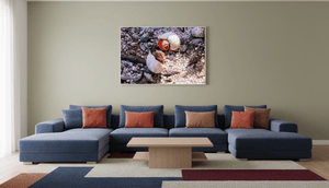 Trésors en Paire - Toile - ESPOIR PHOTOS