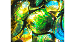 Trouvaille Marine - Aluminium - ESPOIR PHOTOS