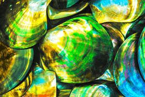 Trouvaille Marine - Fine Art sans texture - ESPOIR PHOTOS