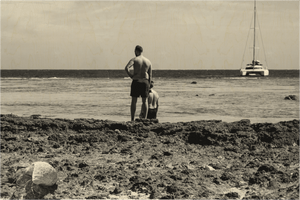 Vers l’Horizon - Bois - ESPOIR PHOTOS