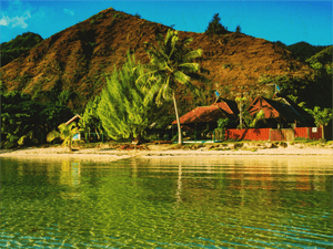 Vibrations sur Rivage - Bois - ESPOIR PHOTOS