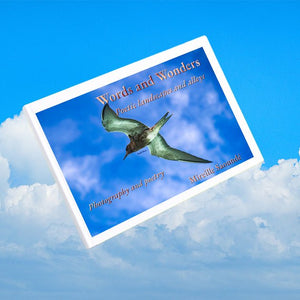 Words and Wonders - Premium - ESPOIR PHOTOS