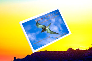 Words and Wonders - Premium - ESPOIR PHOTOS